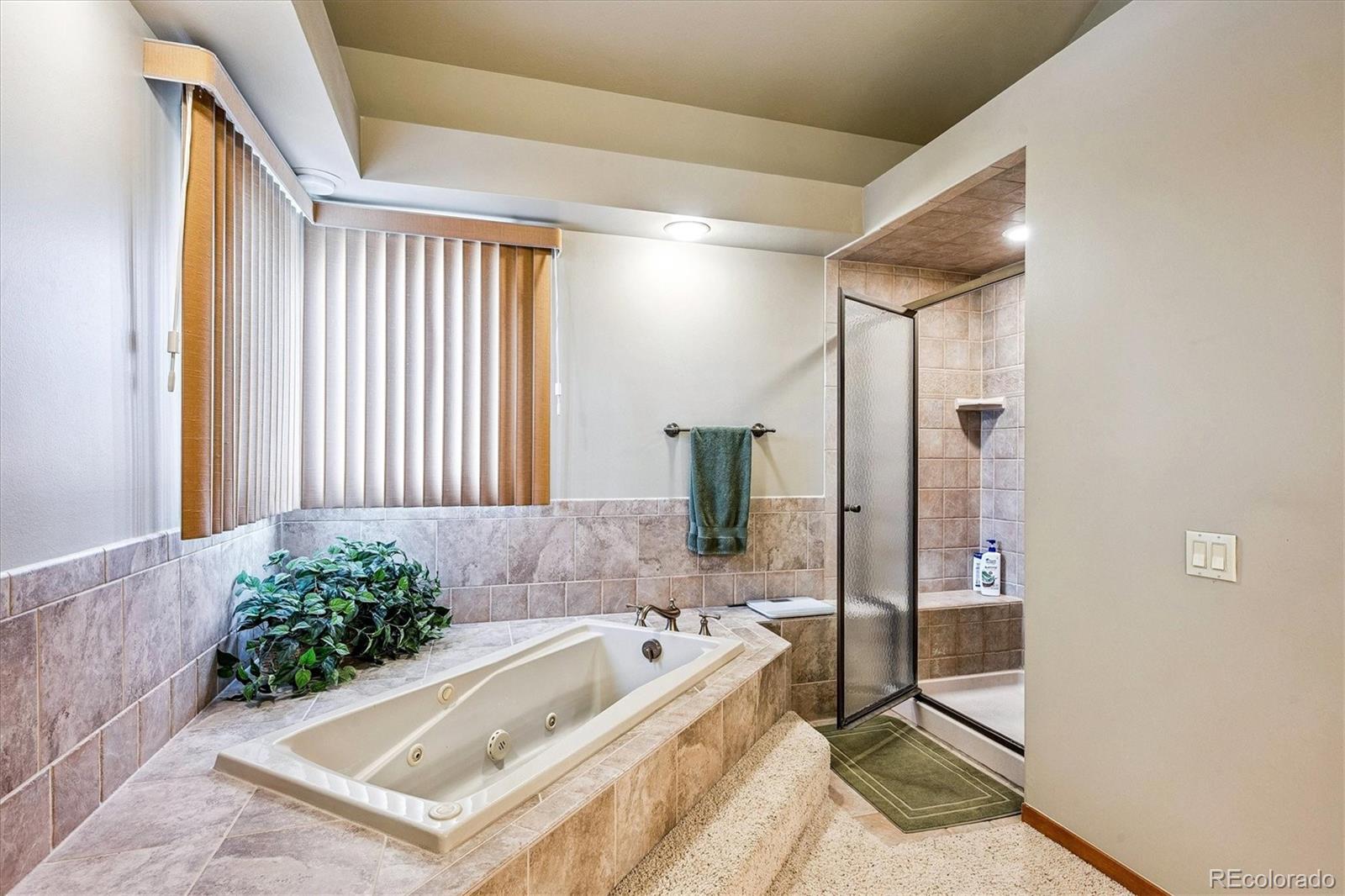 2275 Emerald Drive Castle Rock CO 80104