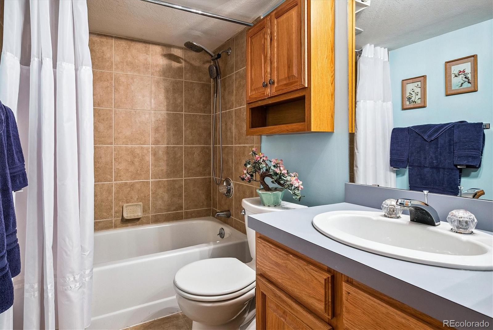 2275 Emerald Drive Castle Rock CO 80104