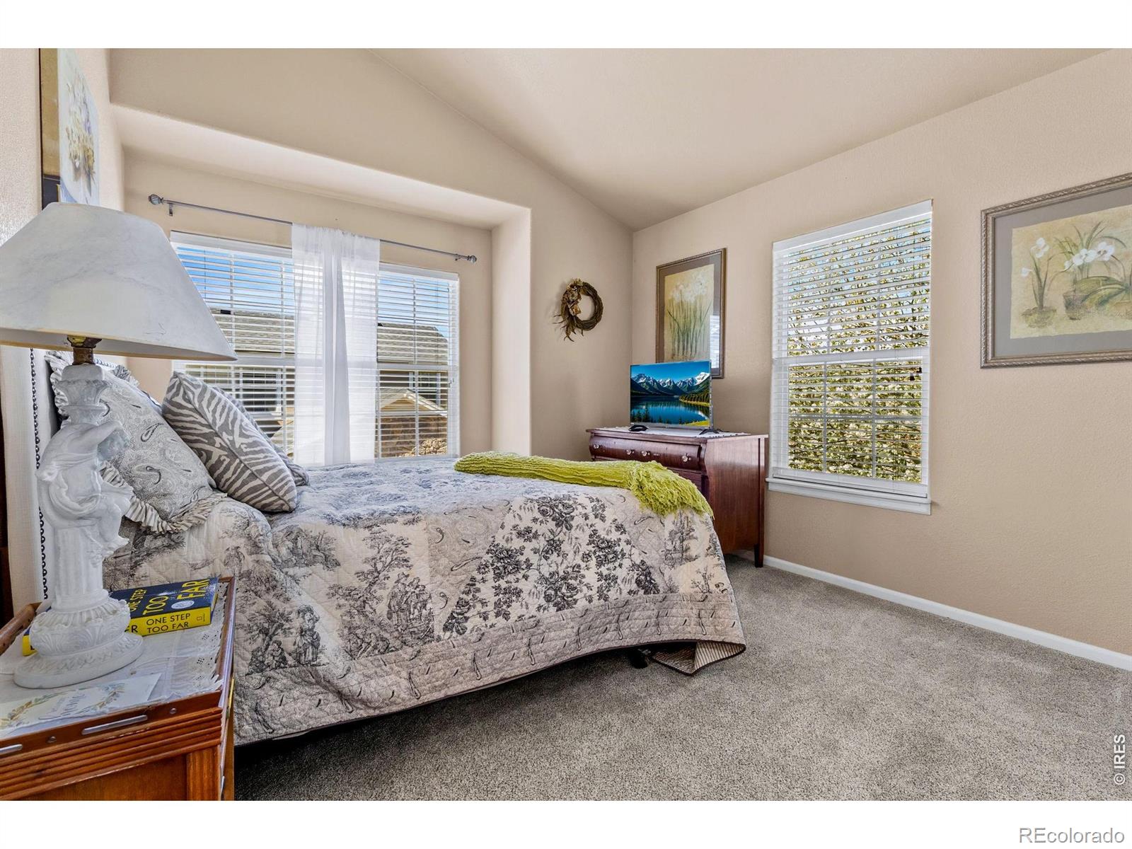215 Rock Bridge Lane Windsor CO 80550