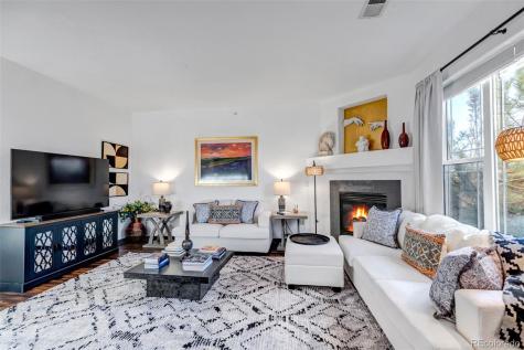 9538 W San Juan Circle Littleton CO 80128