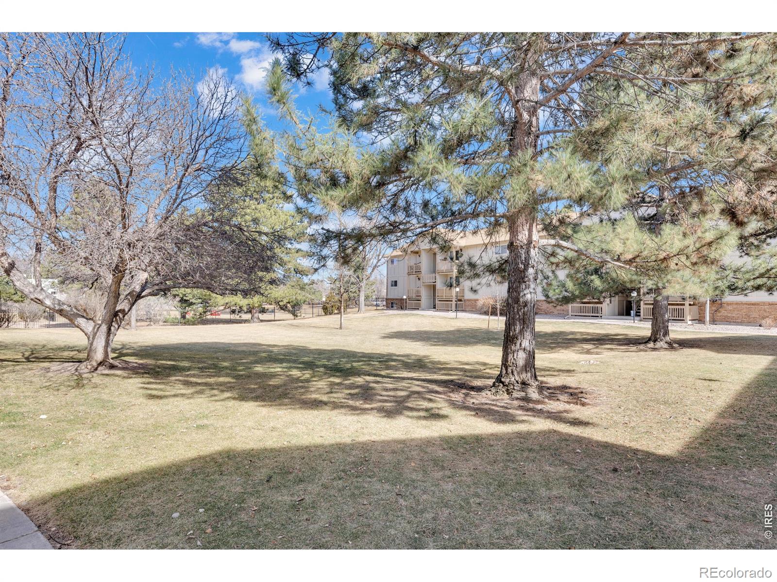 1024 E Swallow Road Fort Collins CO 80525