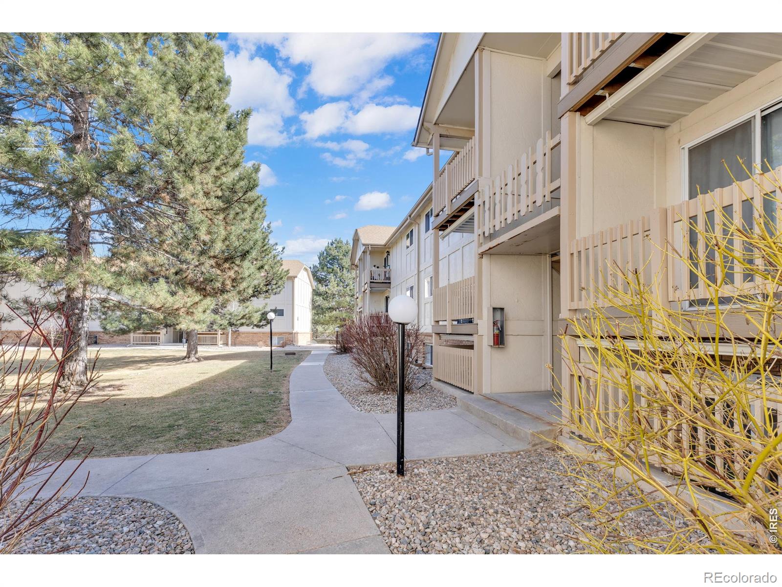 1024 E Swallow Road Fort Collins CO 80525
