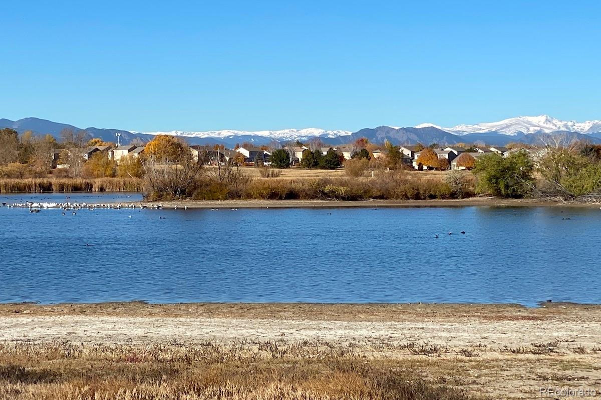3715 E 127th Way Thornton CO 80241