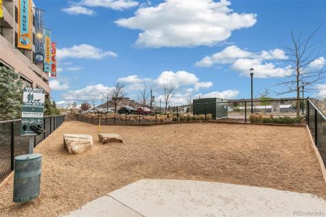 20 Wilcox Street Castle Rock CO 80104