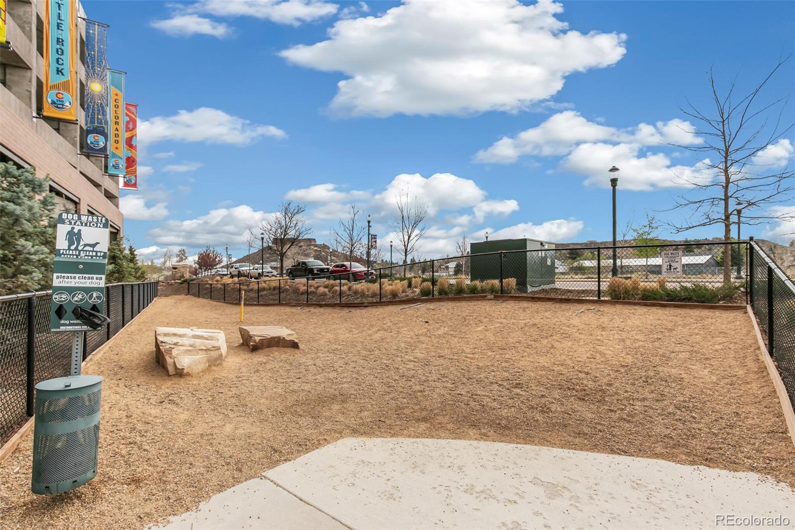 20 Wilcox Street Castle Rock CO 80104