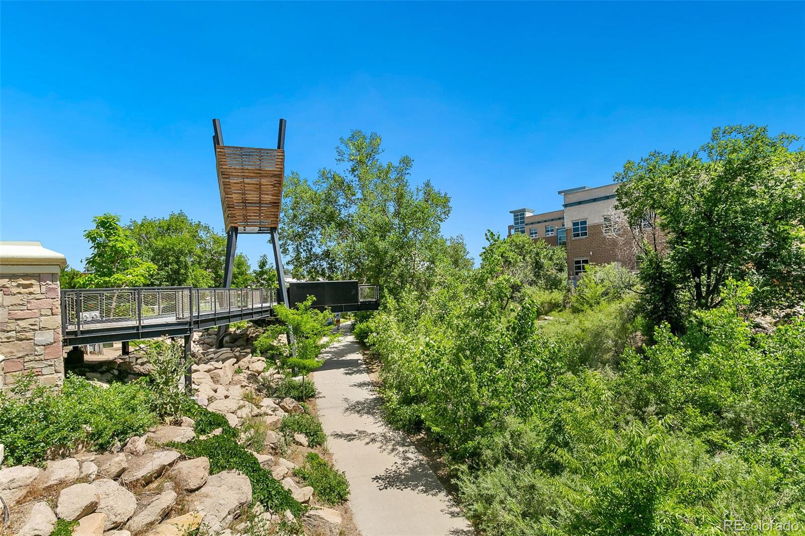 20 Wilcox Street Castle Rock CO 80104