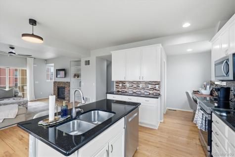 10241 Bellwether Lane Lone Tree CO 80124