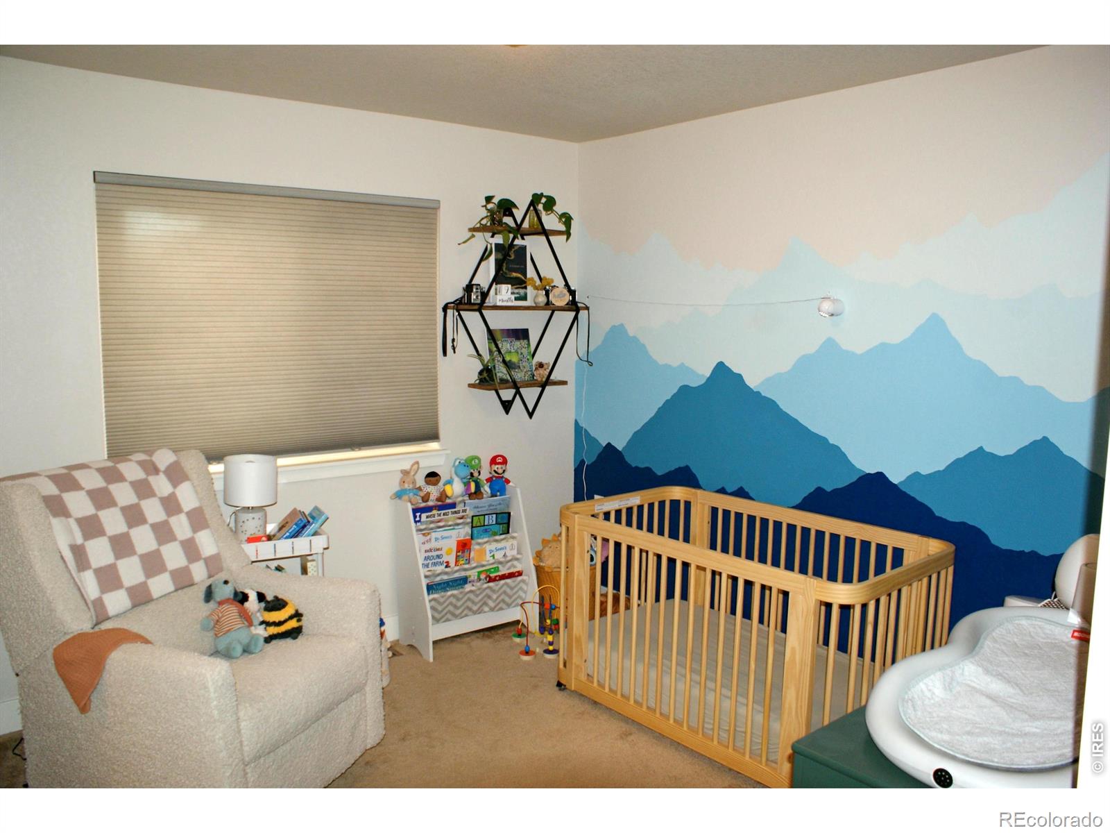 819 Widgeon Circle Longmont CO 80503