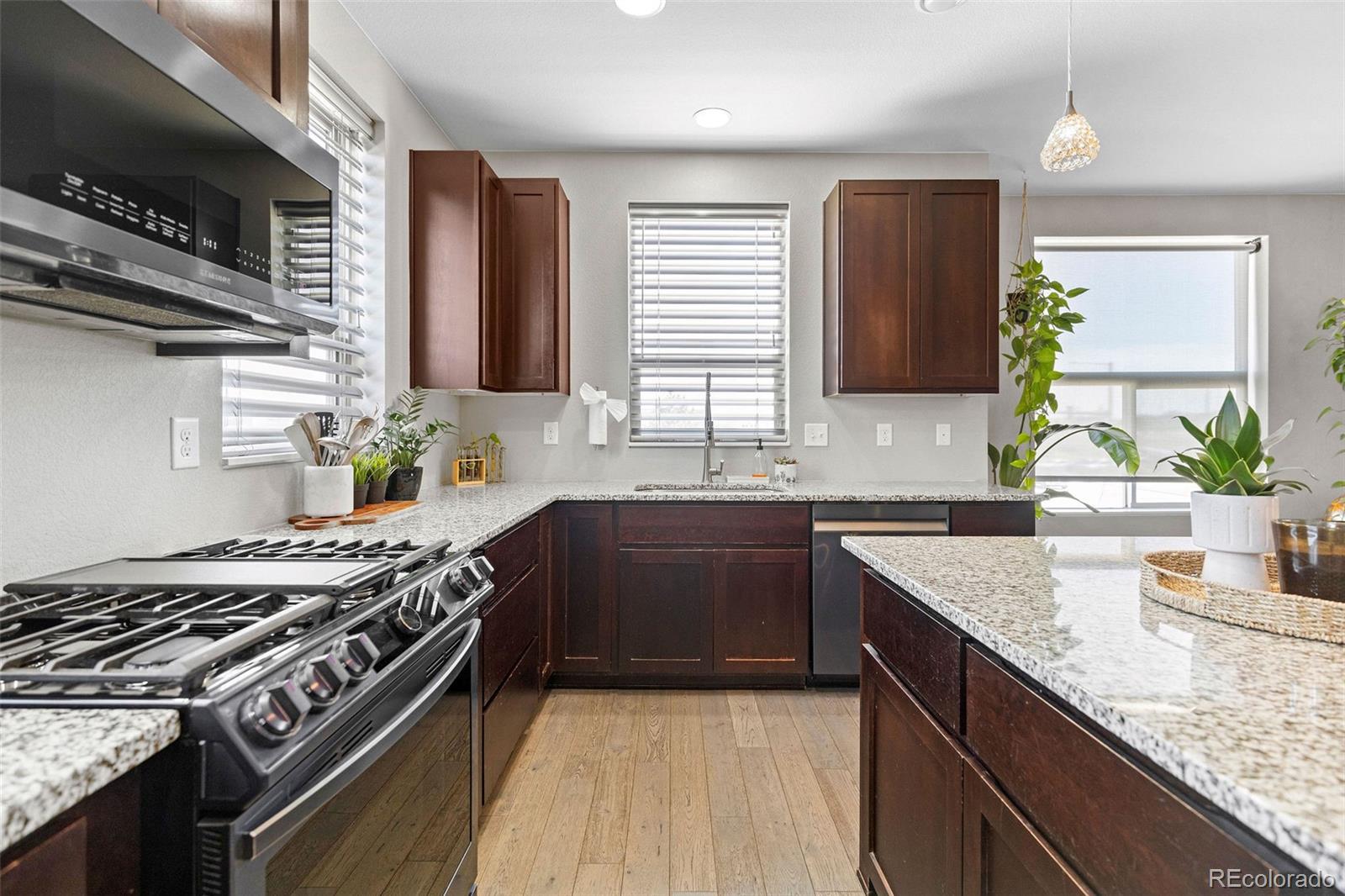 9083 E Northfield Boulevard Denver CO 80238