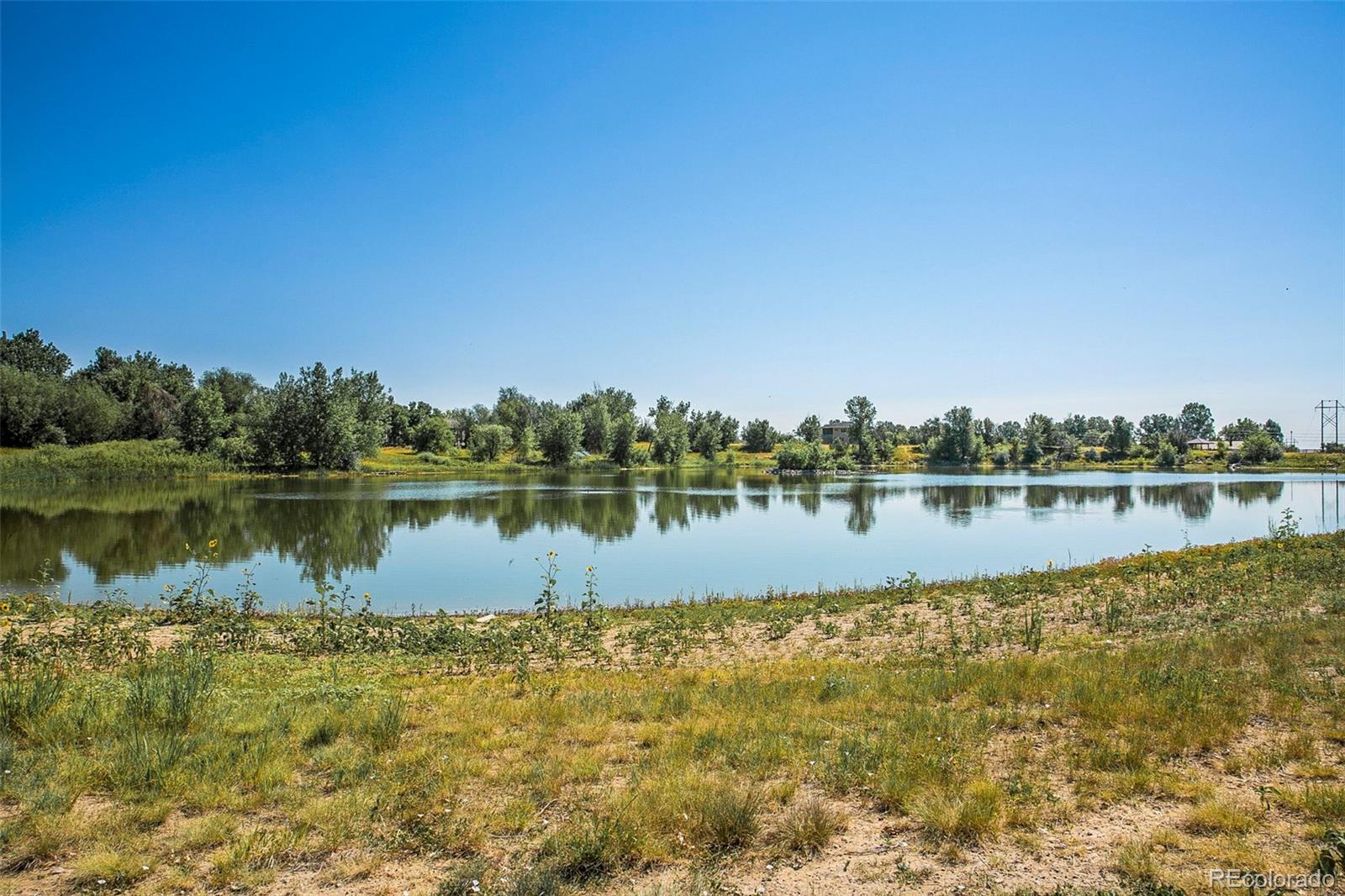 1320 Snowberry Lane Louisville CO 80027