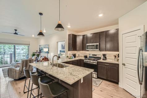 75 Clearwater Way Keystone CO 80435