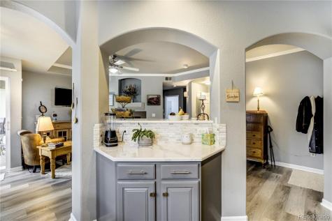 4572 Copeland Loop Highlands Ranch CO 80126