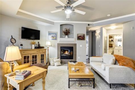 4572 Copeland Loop Highlands Ranch CO 80126