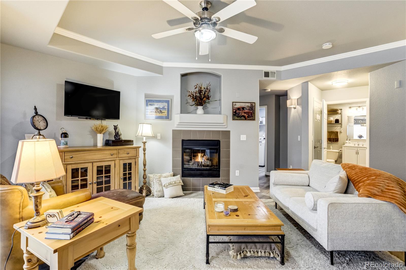 4572 Copeland Loop Highlands Ranch CO 80126