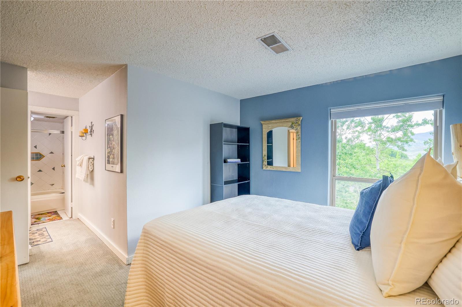 2510 Ryan Gulch Road Silverthorne CO 80498