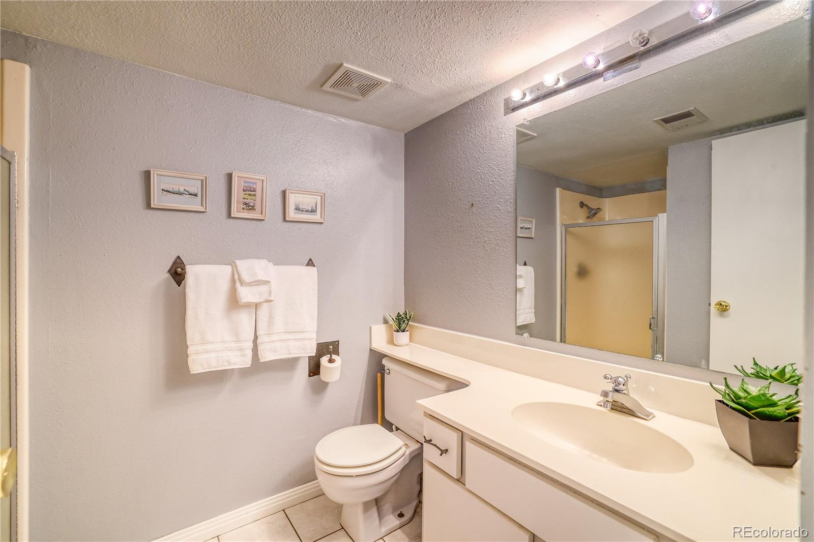 2510 Ryan Gulch Road Silverthorne CO 80498