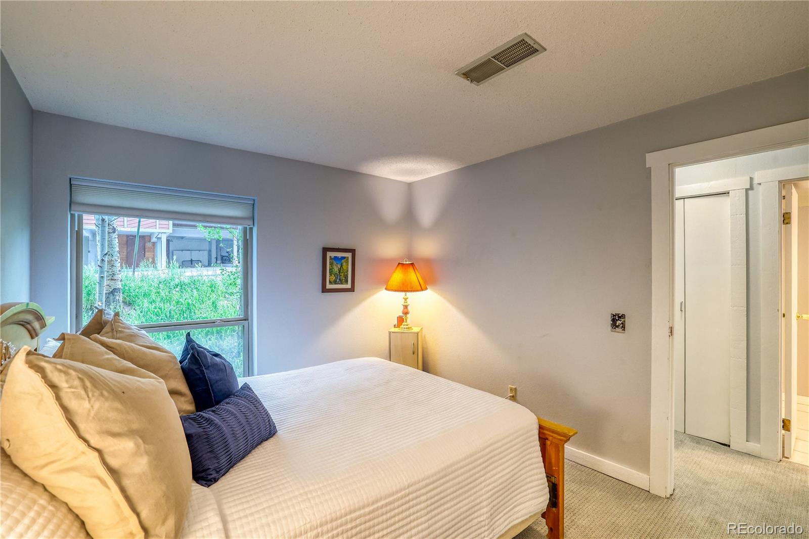 2510 Ryan Gulch Road Silverthorne CO 80498