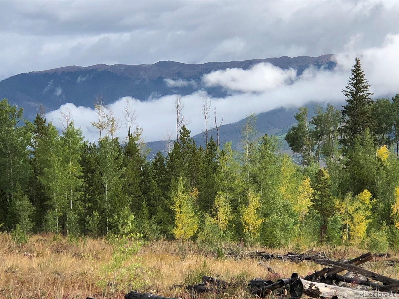 2510 Ryan Gulch Road Silverthorne CO 80498
