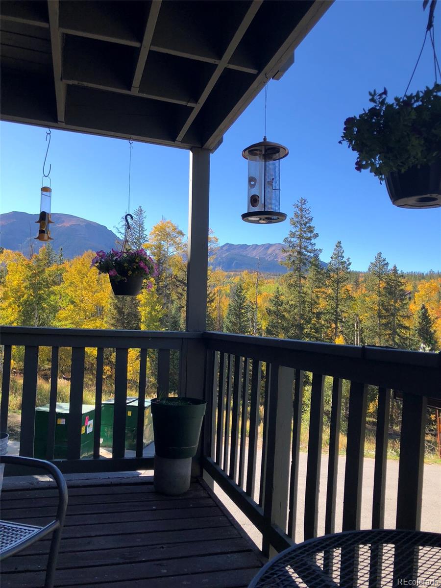2510 Ryan Gulch Road Silverthorne CO 80498