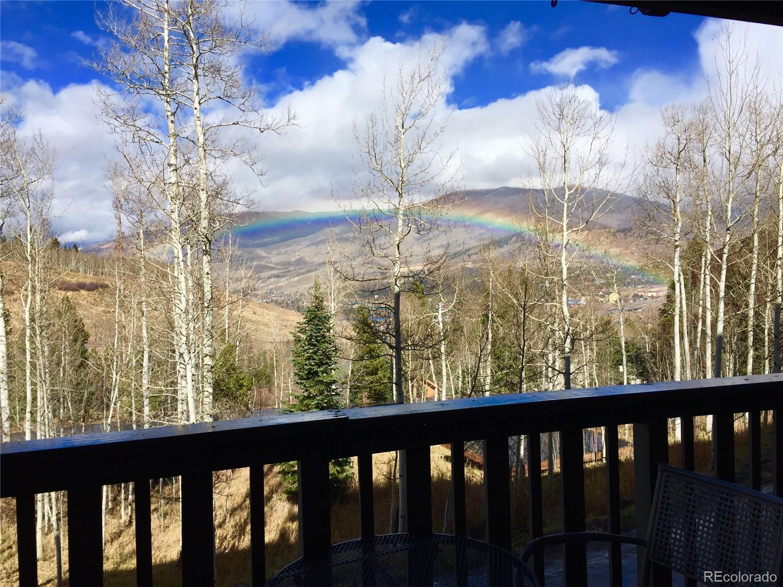 2510 Ryan Gulch Road Silverthorne CO 80498