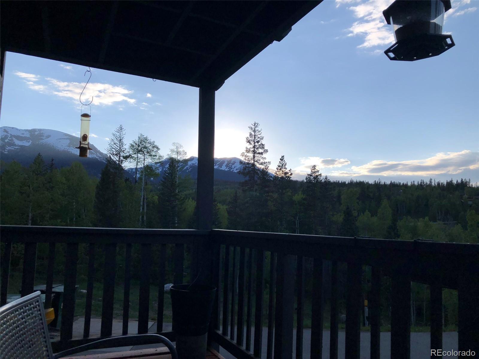 2510 Ryan Gulch Road Silverthorne CO 80498