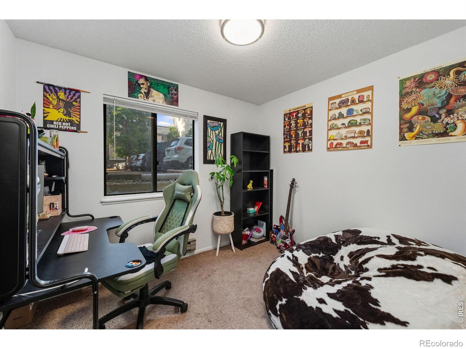 1209 W Plum Street Fort Collins CO 80521