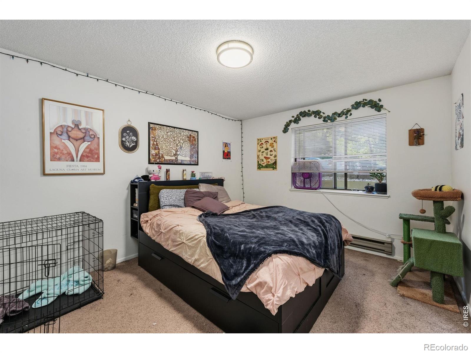 1209 W Plum Street Fort Collins CO 80521