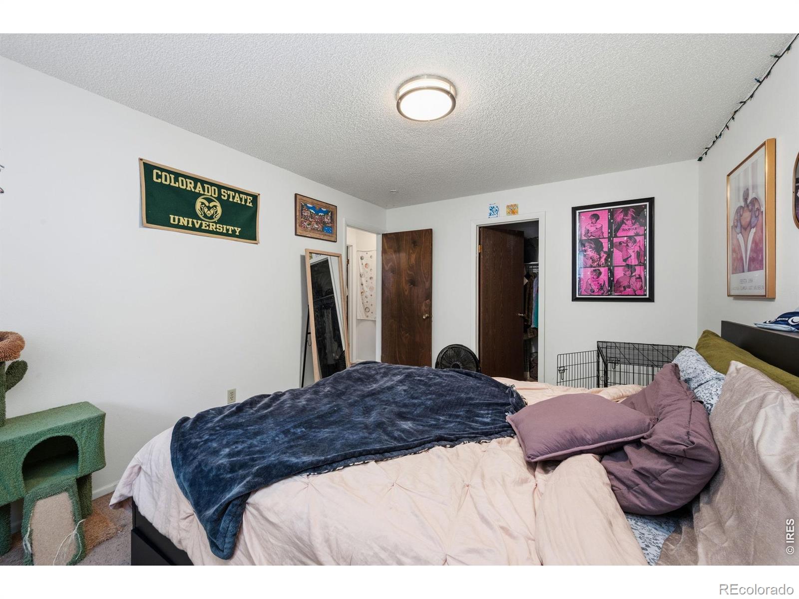 1209 W Plum Street Fort Collins CO 80521