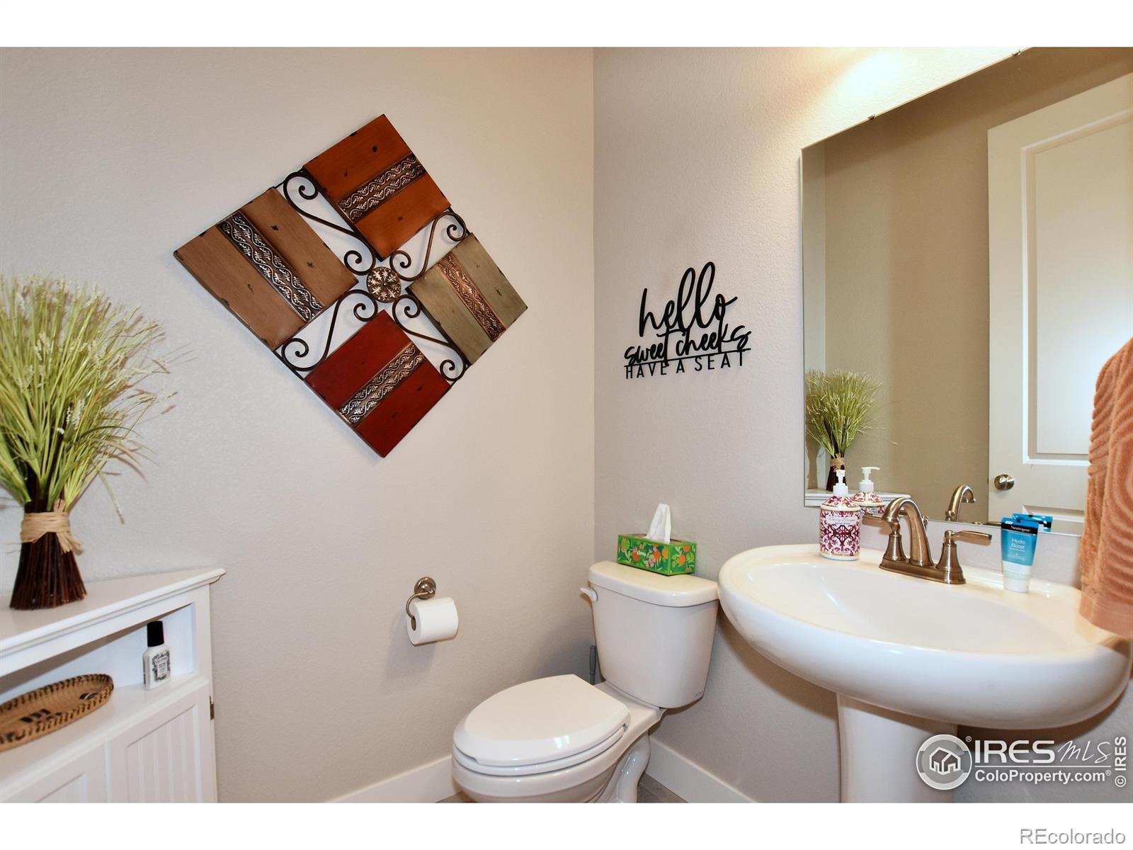 6245 Vernazza Way Windsor CO 80550