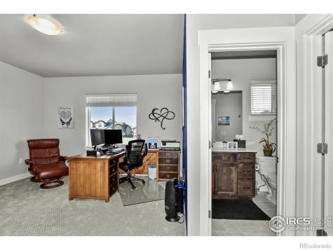 6245 Vernazza Way Windsor CO 80550