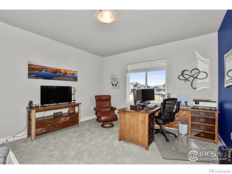 6245 Vernazza Way Windsor CO 80550