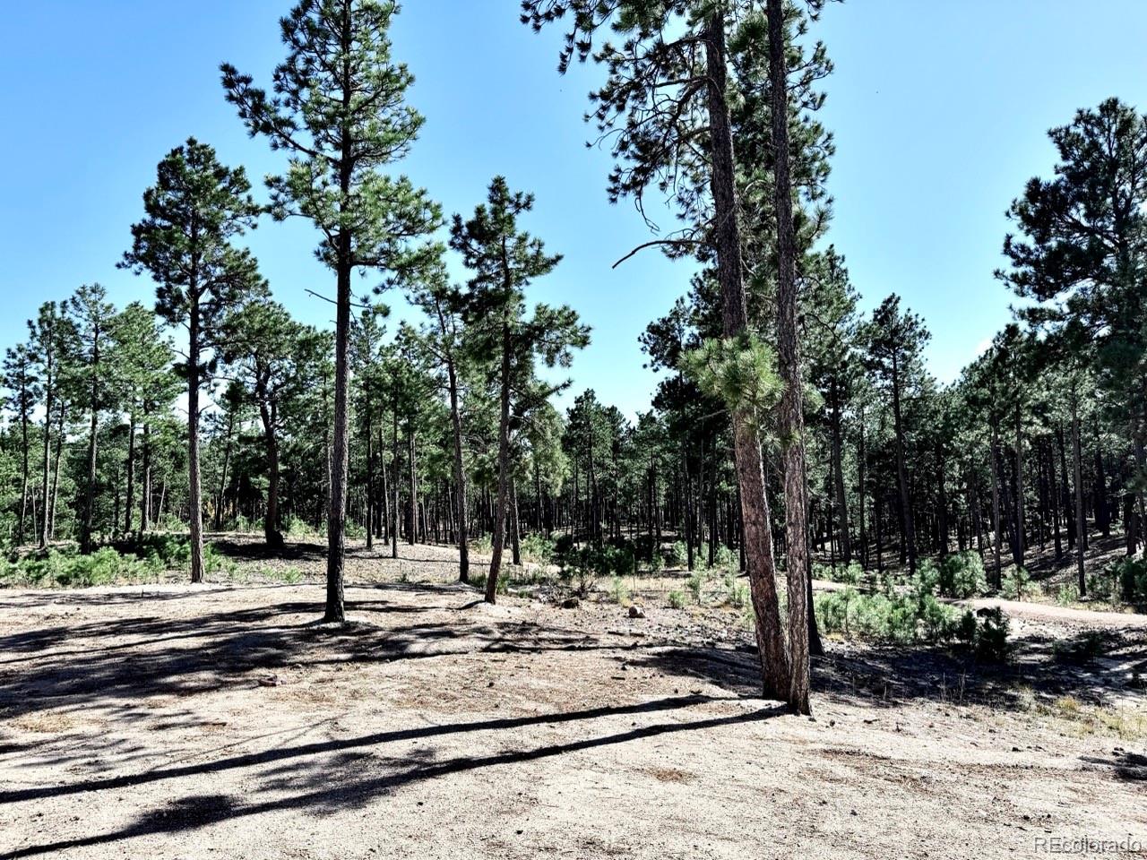 3135 Promise Point Colorado Springs CO 80921