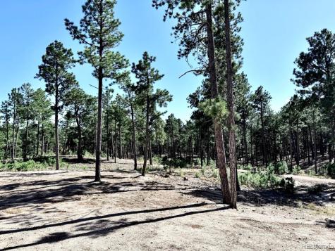 3135 Promise Point Colorado Springs CO 80921