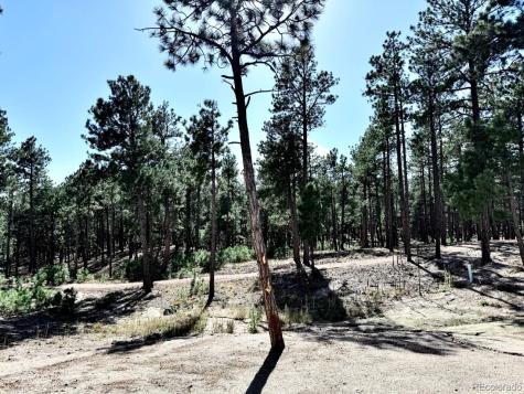 3135 Promise Point Colorado Springs CO 80921