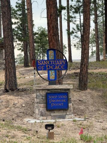 3135 Promise Point Colorado Springs CO 80921