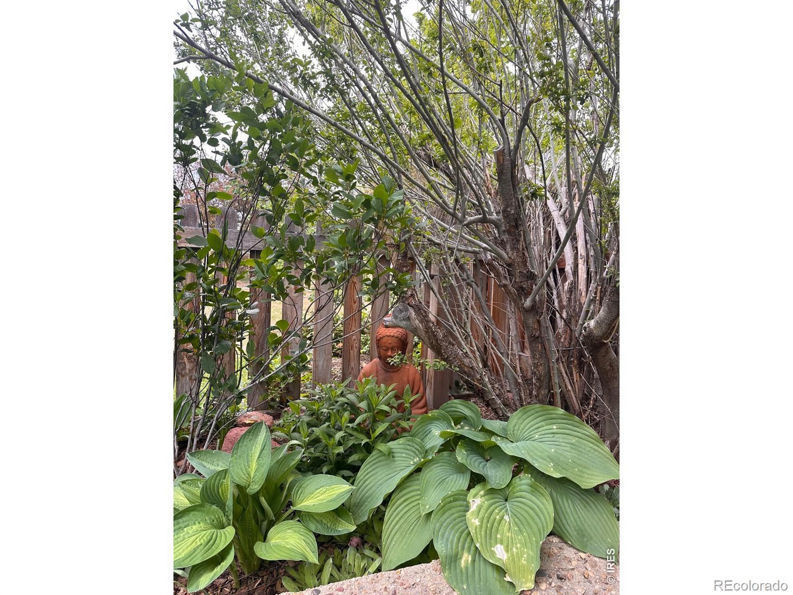 3202 Cripple Creek Trail Boulder CO 80305
