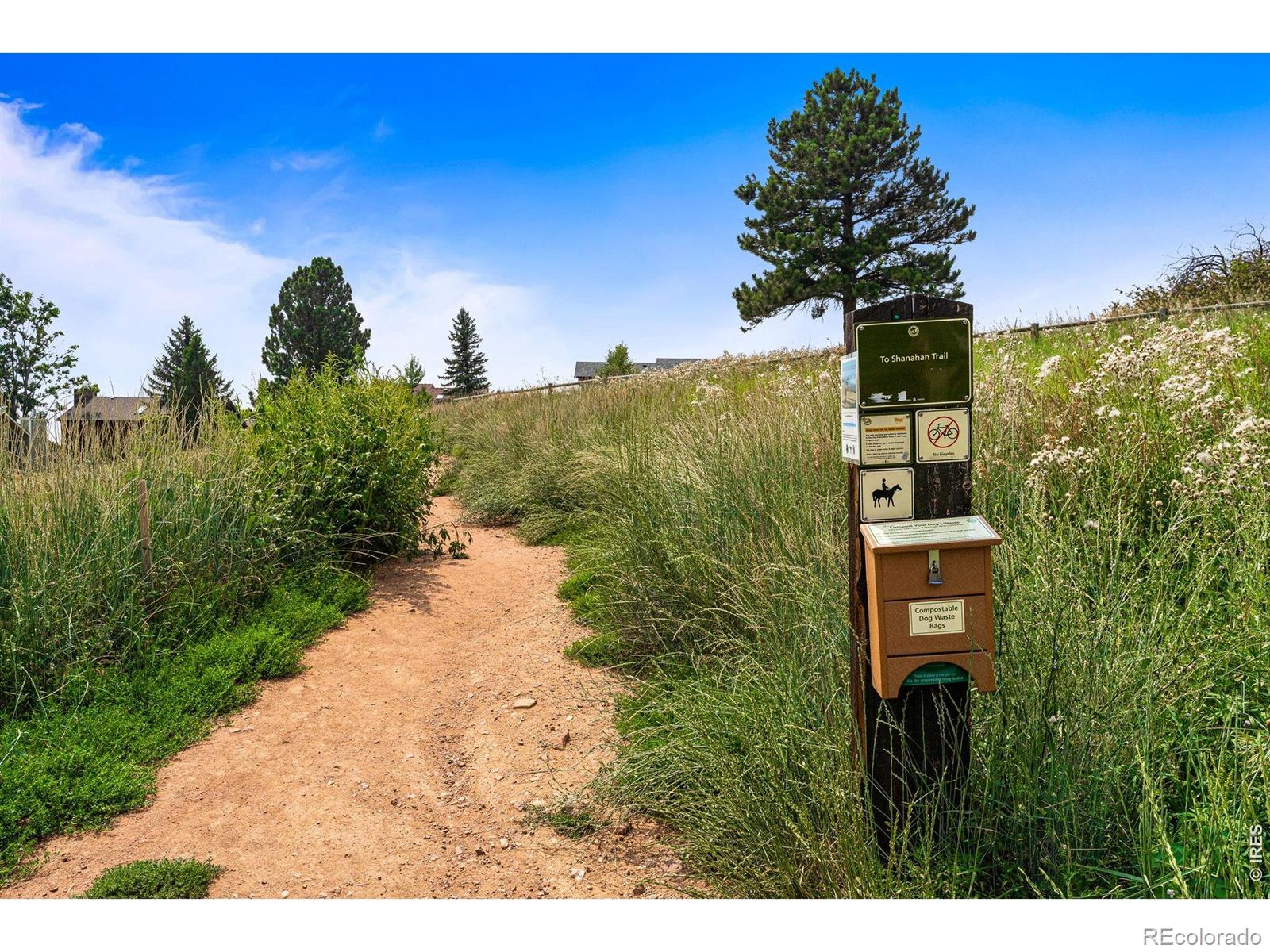 3202 Cripple Creek Trail Boulder CO 80305