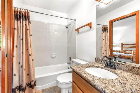 132 Burgundy Circle Silverthorne CO 80498