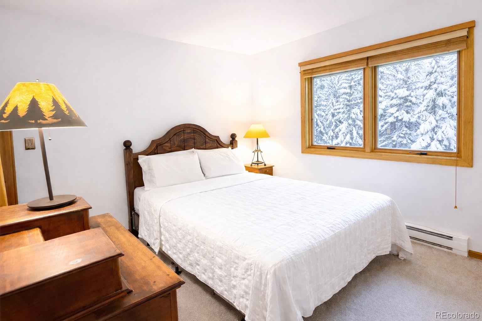 132 Burgundy Circle Silverthorne CO 80498