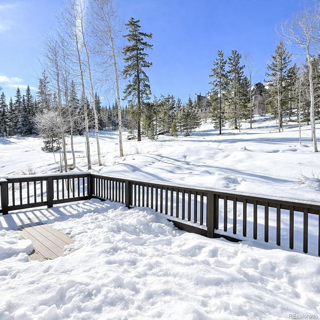 132 Burgundy Circle Silverthorne CO 80498