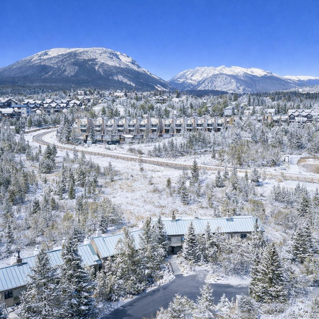 132 Burgundy Circle Silverthorne CO 80498