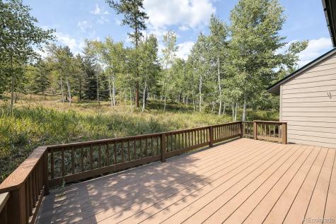 132 Burgundy Circle Silverthorne CO 80498