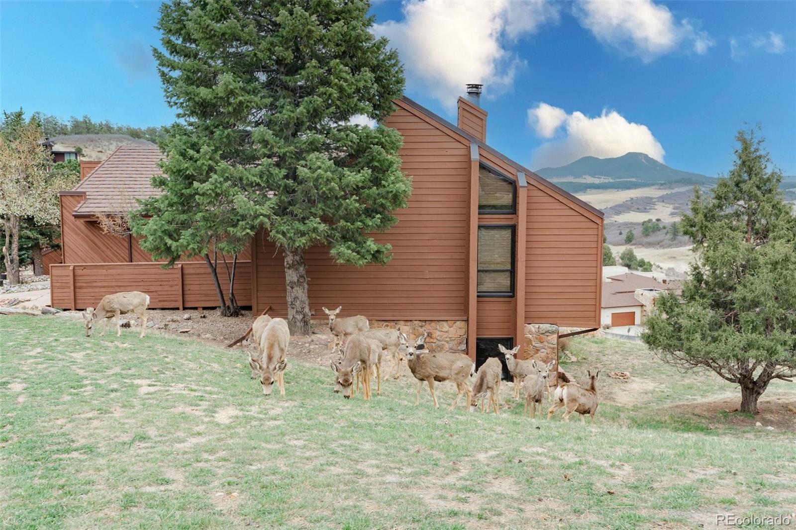 4452 Sentinel Rock Larkspur CO 80118
