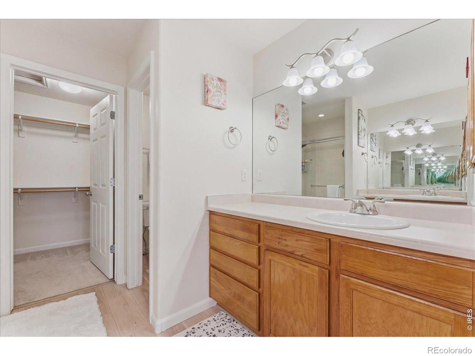 3329 Apple Blossom Lane Greeley CO 80634