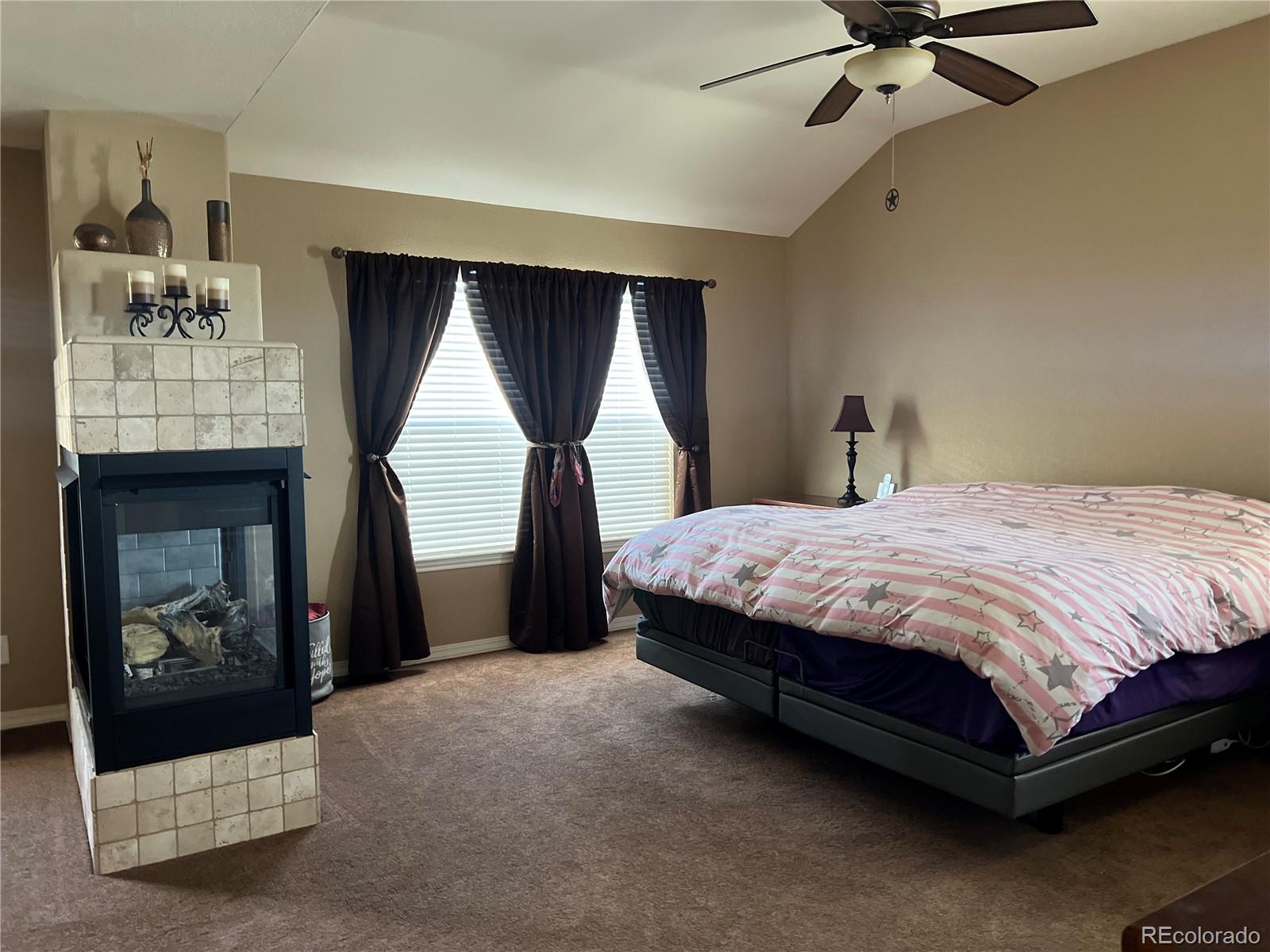 896 Ironspur Court Castle Rock CO 80108
