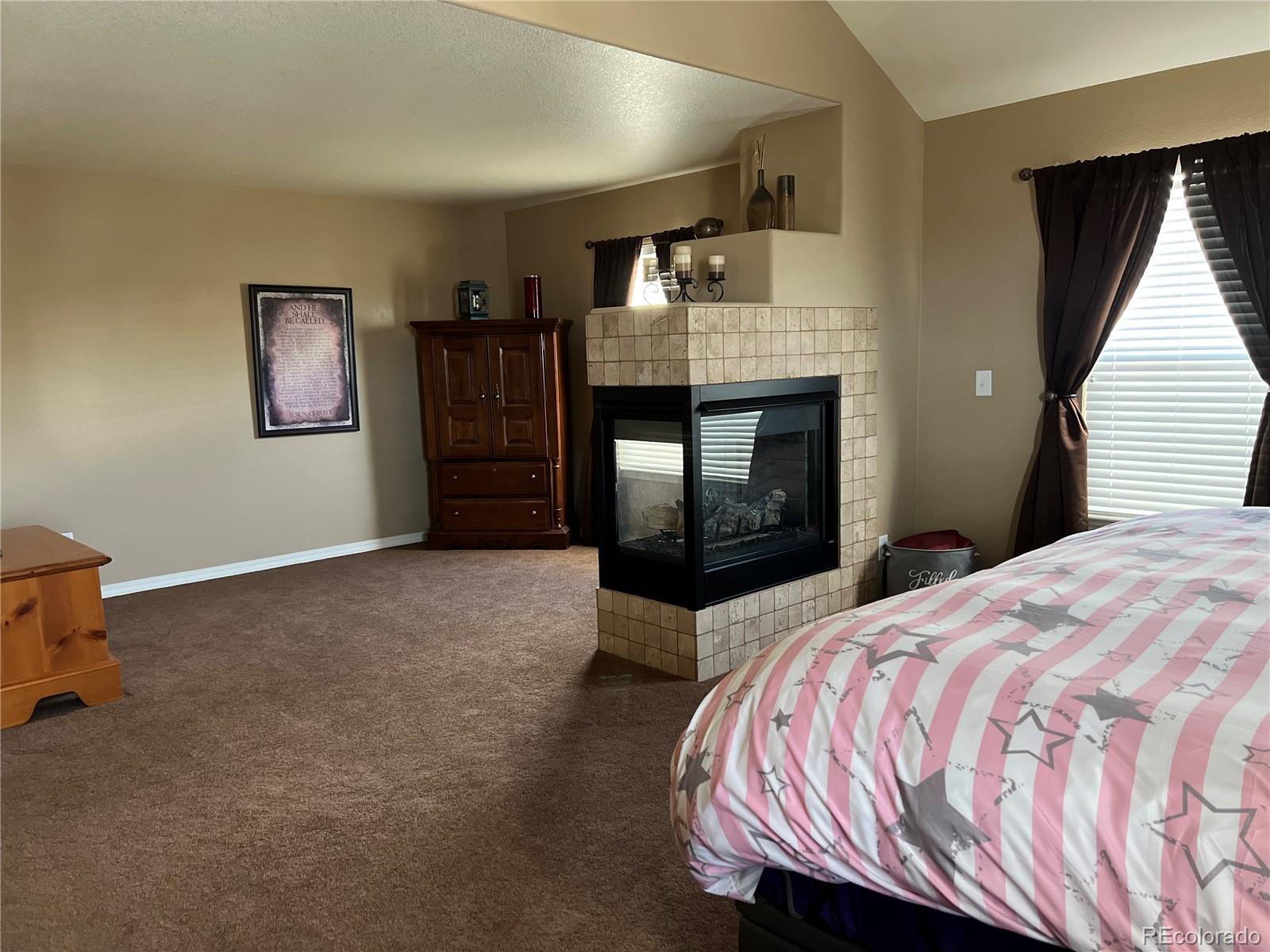 896 Ironspur Court Castle Rock CO 80108