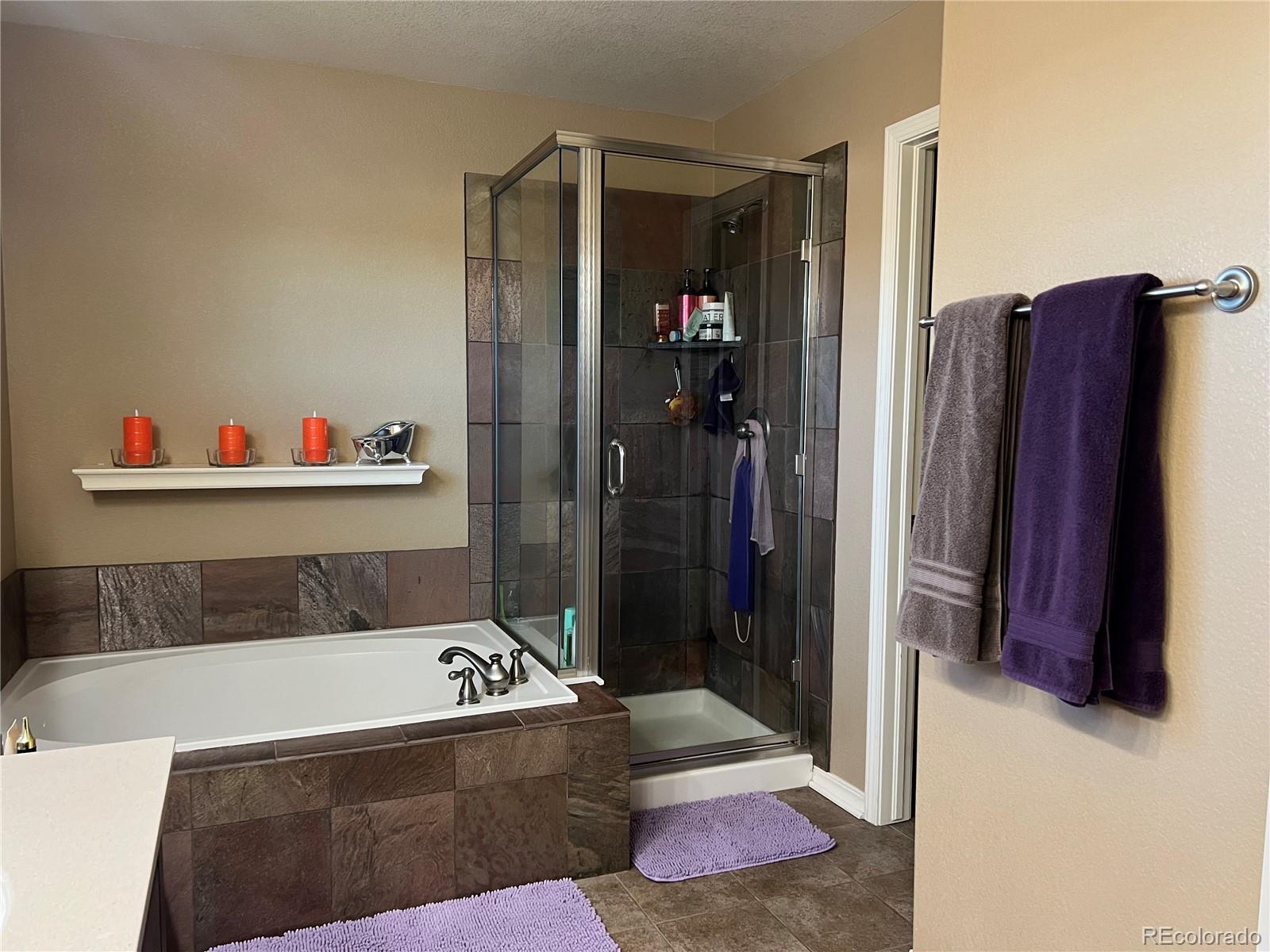 896 Ironspur Court Castle Rock CO 80108