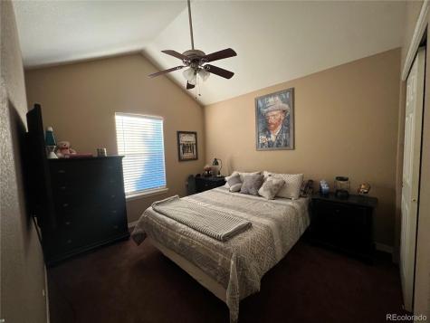 896 Ironspur Court Castle Rock CO 80108