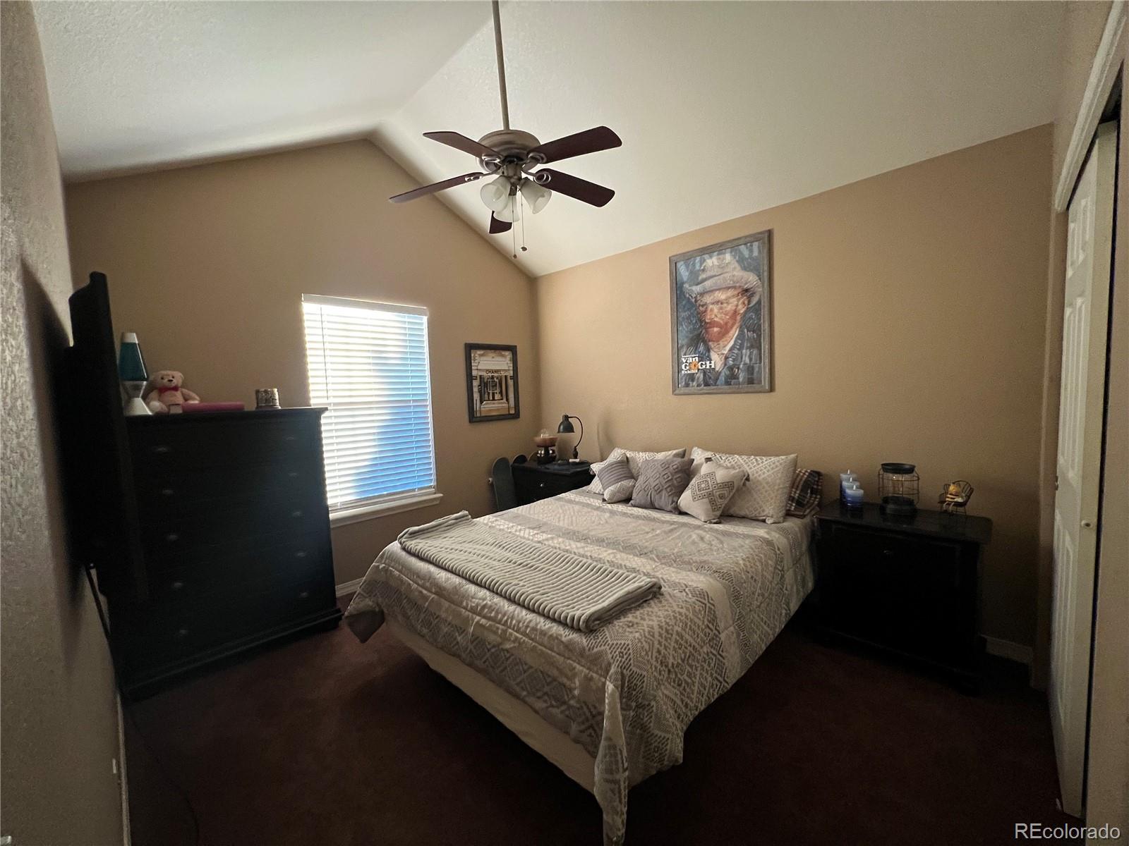 896 Ironspur Court Castle Rock CO 80108