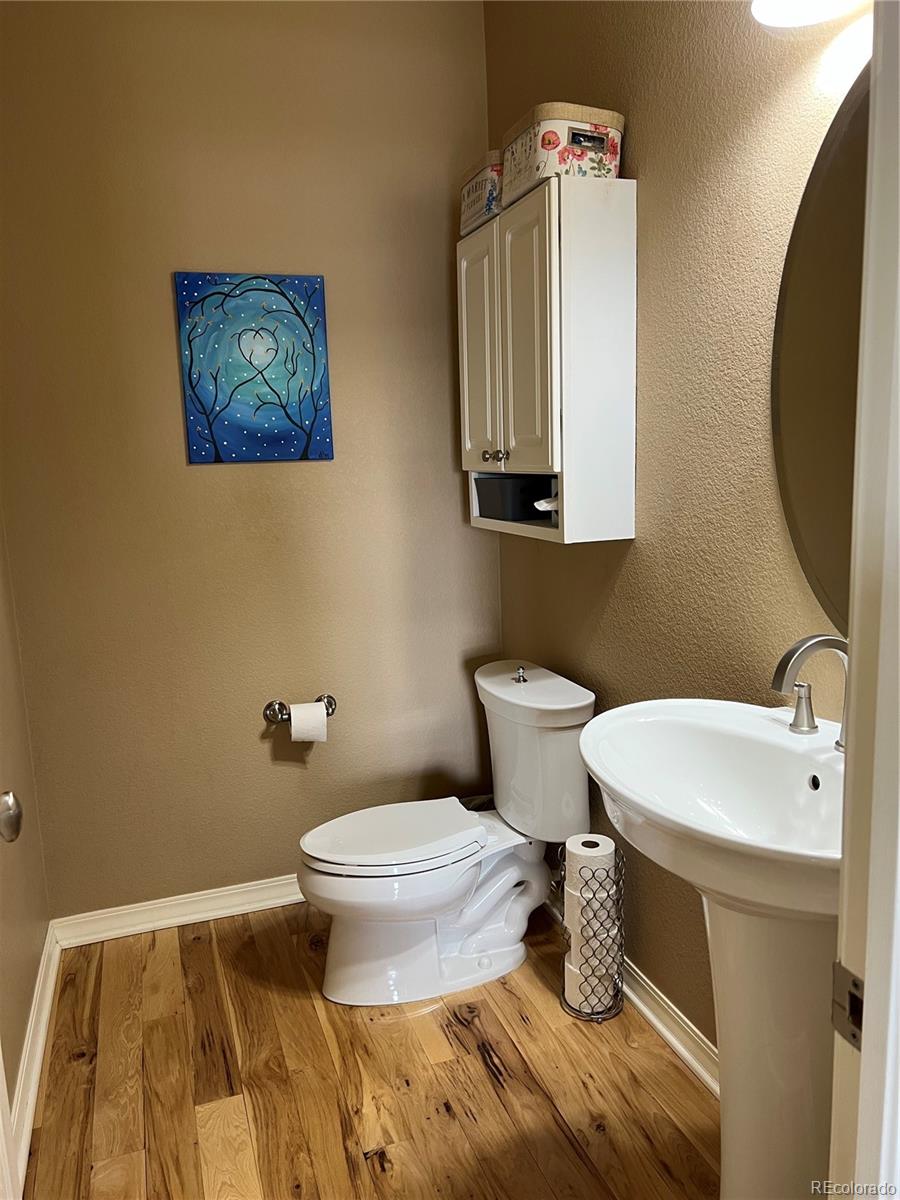 896 Ironspur Court Castle Rock CO 80108